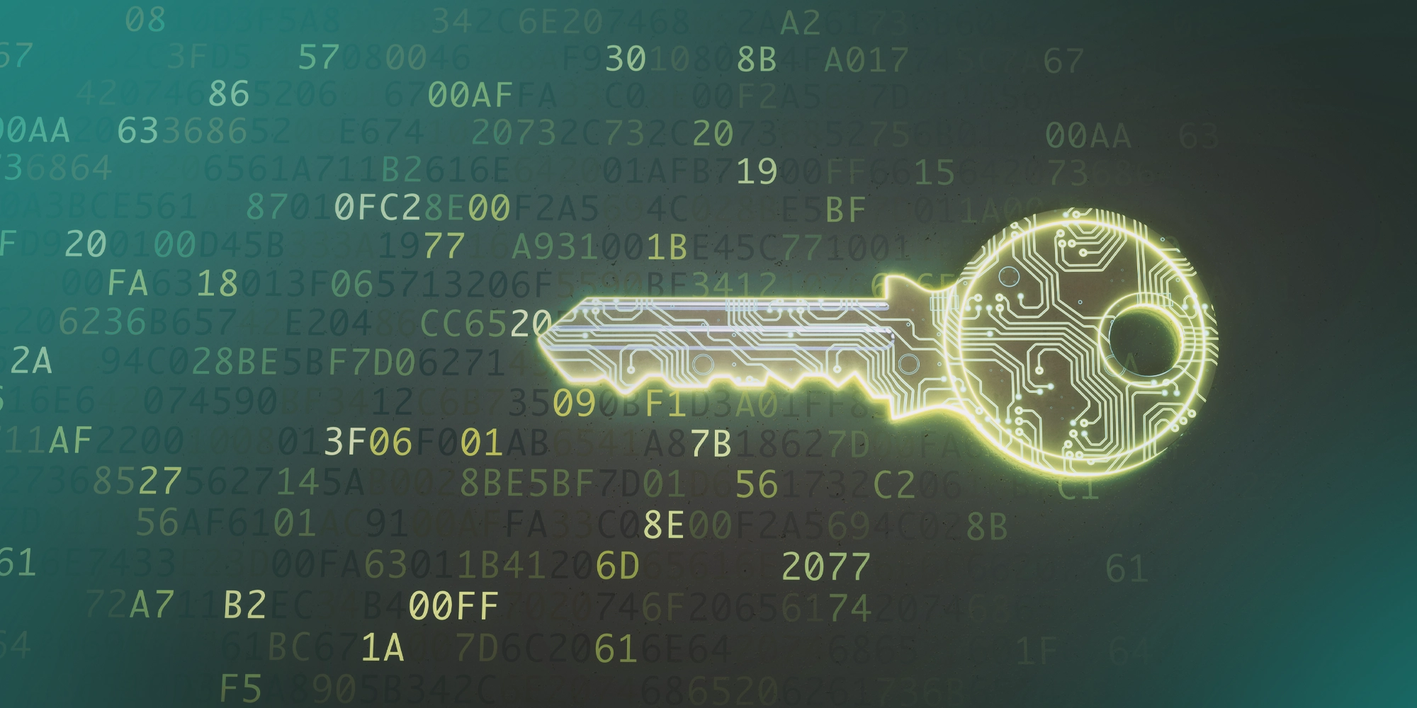 Clave privada, descubre los detalles sobre el proceso de encriptación